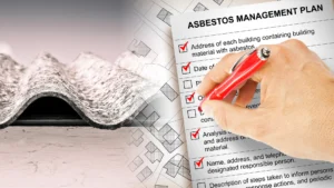management plan